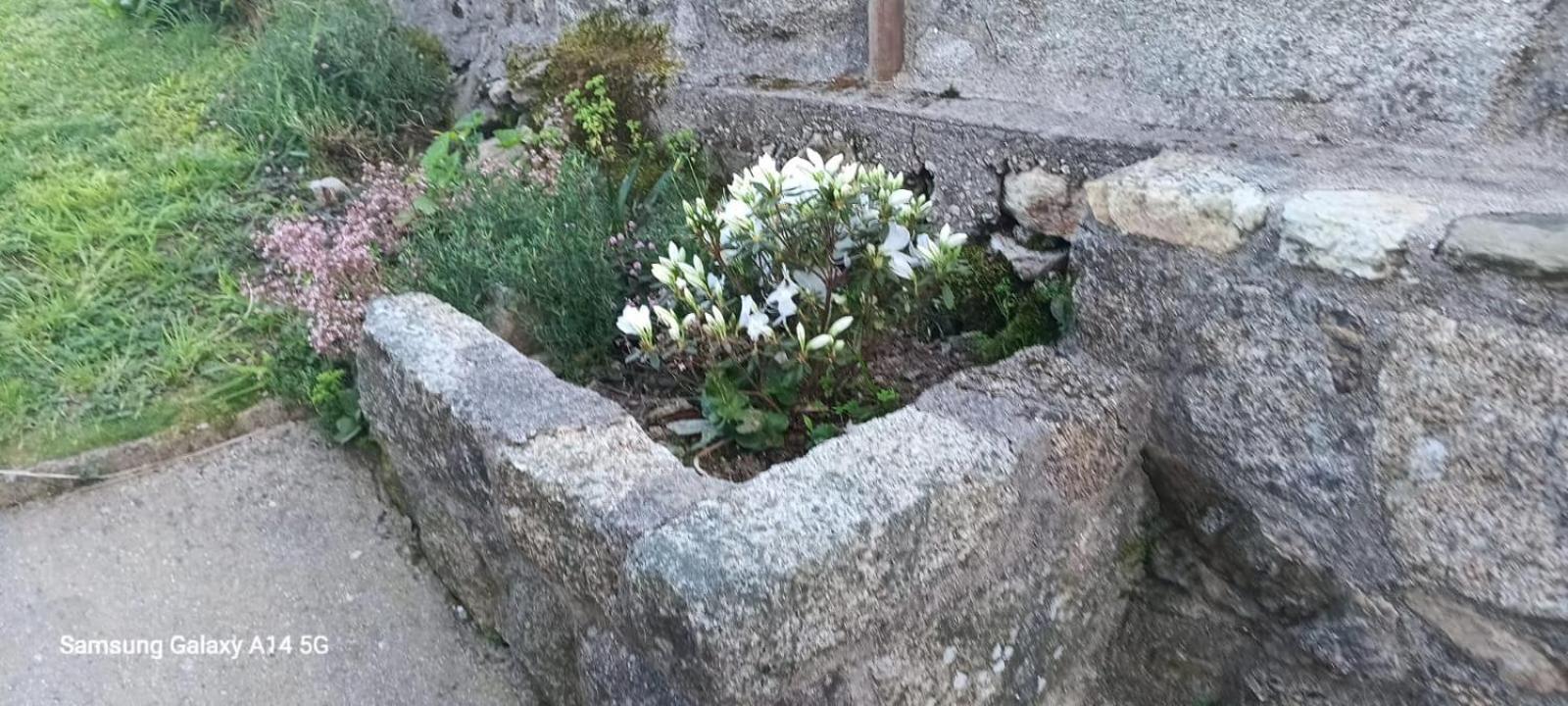 Casa Da Fonte Villa Pontevedra Bilik gambar